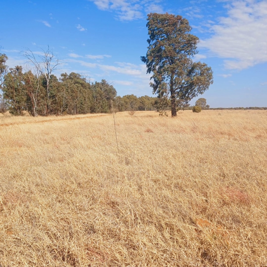  Bedroom Property for Sale in Bloemhof Rural North West
